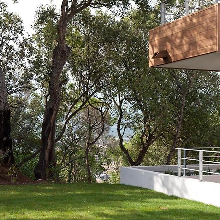 Residence Hoteliere Alcyon Porto-Vecchio  Eksteriør bilde